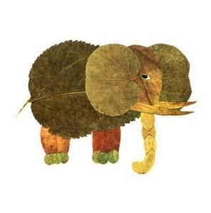 Meet your Posher, Colleen